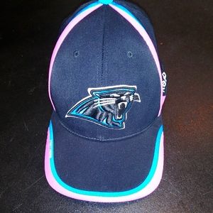 Panthers hat